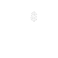 financial icon